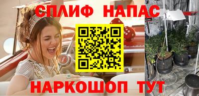 jwh Кингисепп