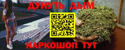 jwh Кингисепп