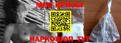 jwh Кингисепп